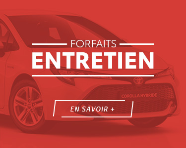 Forfait Entretien